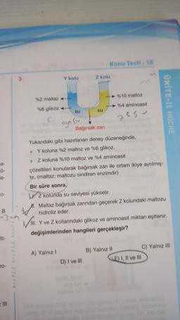 a-
=Ö-
le-
Co-
B
Iti-
70-
III
bryPLE bryPLE bry PL
%2 maltaz
%6 glikoz
C
Y kolu
su
A) Yalnız I
gosu
Z kolu
su
D) I ve III
Konu Testi: 18
Bağırsak zarı
Yukarıdaki gibi hazırlanan deney düzeneğinde,
◆ Y koluna %2 maltoz ve %6 glikoz,
♦
Z koluna %10 maltoz ve %4 aminoasit
çözeltileri konularak bağırsak zarı ile ortam ikiye ayrılmış-
tır. (maltaz, maltozu sindiren enzimdir)
Bir süre sonra,
U Z kolunda su seviyesi yükselir.
M. Maltaz bağırsak zarından geçerek Z kolundaki maltozu
hidroliz eder.
%10 maltoz
%4 aminoasit
2655
VIII.
III. Y ve Z kollarındaki glikoz ve aminoasit miktarı eşitlenir.
değişimlerinden hangileri gerçekleşir?
B) Yalnız II
ÜNİTE-II HÜCRE
E) I, II ve III
C) Yalnız III
nutul