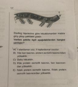 ŞI-
17.
oksijen
e cee
Besin
karbon
dioksit
Atıklar
Starling hipotezine göre kılcaldamardan madde
giriş çıkışı şekildeki gibidir.
Verilen şekille ilgili aşağıdakilerden hangisi
yanlıştır?
AI atardamar ucu, II toplardamar ucudur.
B) I'de kan basıncı, protein osmotik basıncından
yüksektir.
C) Doku kılcalıdır.
D) Il'de protein osmotik basıncı, kan basıncin-
dan yüksektir.
E) I'deki protein osmotik basıncı, Il'deki protein
osmotik basıncından yüksektir.
2