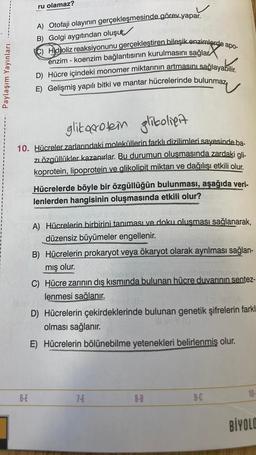 Paylaşım Yayınları
ru olamaz?
6-E
A) Otofaji olayının gerçekleşmesinde görev yapar.
B) Golgi aygıtından oluşu
C) Hidroliz reaksiyonunu gerçekleştiren bileşik enzimlerde apo-
are
enzim - koenzim bağlantısının kurulmasını sağlar
D) Hücre içindeki monomer miktarının artmasını sağlayabilir.
E) Gelişmiş yapılı bitki ve mantar hücrelerinde bulunmaz,
glikoprotein glikolieit
10. Hücreler zarlarındaki moleküllerin farklı dizilimleri sayesinde ba-
zı özgüllükler kazanırlar. Bu durumun oluşmasında zardaki gli-
koprotein, lipoprotein ve glikolipit miktarı ve dağılışı etkili olur.
Hücrelerde böyle bir özgüllüğün bulunması, aşağıda veri-
lenlerden hangisinin oluşmasında etkili olur?
A) Hücrelerin birbirini tanıması ve doku oluşması sağlanarak,
düzensiz büyümeler engellenir.
155
banels oud jubMr J
B) Hücrelerin prokaryot veya ökaryot olarak ayrılması sağlan-
mış olur.
vez ha
nobonstmunoy
C) Hücre zarının dış kısmında bulunan hücre duvarının sentez-
lenmesi sağlanır.
D) Hücrelerin çekirdeklerinde bulunan genetik şifrelerin farkl
olması sağlanır.
E) Hücrelerin bölünebilme yetenekleri belirlenmiş olur.
7-E
8-B
9-C
10-
BİYOLO