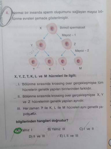 4. Normal bir insanda sperm oluşumunu sağlayan mayoz bö-
Münme evreleri şemada gösterilmiştir.
ma
T
Birincil spermatosit
Mayoz - 1
A) Yalnız I
Z
K L
X, Y, Z, T, K, L ve M hücreleri ile ilgili;
I. Bölünme sırasında krossing over gerçekleşmişse tüm
hücreleri