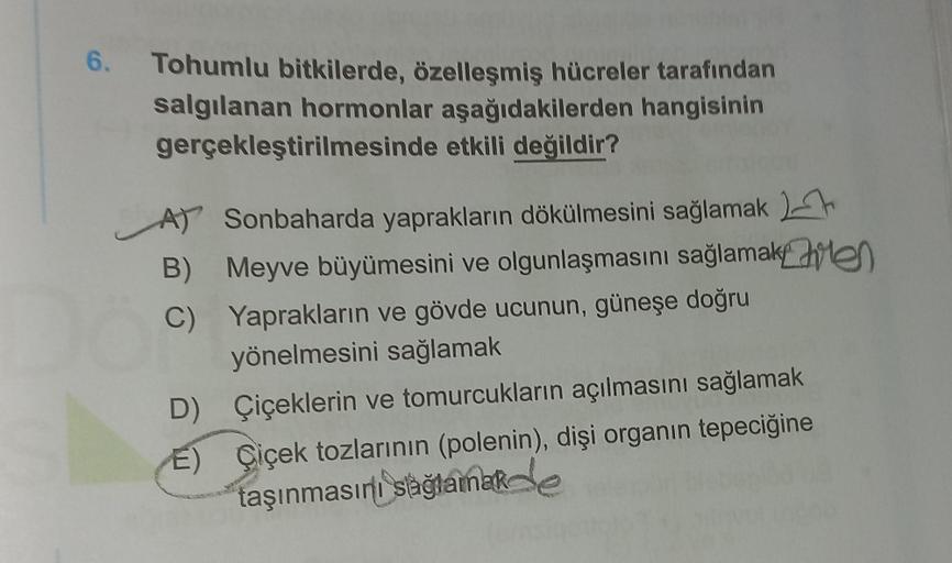 6.
Tohumlu bitkilerde, özelleşmiş hücreler tarafından
salgılanan hormonlar aşağıdakilerden hangisinin
etkili değildir?
gerçekleştirilmesinde
B)
C)
D)
E)
Sonbaharda yaprakların dökülmesini sağlamak
Meyve büyümesini ve olgunlaşmasını sağlamaken
Yaprakların v