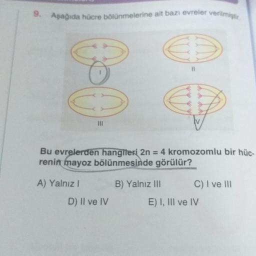 9. Aşağıda hücre bölünmelerine ait bazı evreler verilmiştir
0-0
111
A) Yalnız I
Bu evrelerden hangileri 2n = 4 kromozomlu bir hüc-
renin mayoz bölünmesinde görülür?
D) Il ve IV
11
B) Yalnız III
C) I ve III
E) I, III ve IV