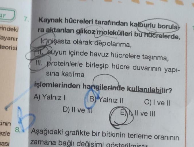 ar
rindeki
Mayanır
teorisi
inin
ezle
ması
8.
Kaynak hücreleri tarafından kalburlu borula
ra aktarılan glikoz molekülleri bu hücrelerde,
nişasta olarak depolanma,
Buyun içinde havuz hücrelere taşınma,
III. proteinlerle birleşip hücre duvarının yapı-
sına ka