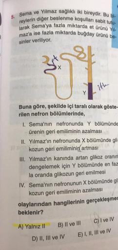 5. Sema ve Yılmaz sağlıklı iki bireydir. Bu bi-
reylerin diğer beslenme koşulları sabit tutu-
larak Sema'ya fazla miktarda et ürünü Yıl-
maz'a ise fazla miktarda buğday ürünü be-
sinler veriliyor.
2 pt
351
itk
Buna göre, şekilde içi taralı olarak göste-
ri