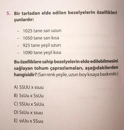 5. Bir tarladan elde edilen bezelyelerin özellikleri
şunlardır:
-
1025 tane sarı uzun
- 1050 tane sarı kısa
-
925 tane yeşil uzun
1090 tane yeşil kısa
-
Bu özelliklere sahip bezelyelerin elde edilebilmesini
sağlayan tohum çaprazlamaları, aşağıdakilerden
hangisidir? (Sarı renk yeşile, uzun boy kısaya baskındır.)
A) SSUU x ssuu
B) SsUu x SsUu
C) SSUU x SsUu
D) SsUu x ssuu
E) ssUu x SSuu