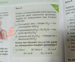 SISTEMD
e süreçle-
et yönleri
ştir.
erme
erilen ev-
mek için
si doğru
Soru 3
Oksijen ve karbondioksitin kanla taşınması
sürecinde çeşitli reaksiyonlar gerçekleşir.
Aşağıda bu reaksiyonların bazı örnekleri
verilmiştir;
1. Hemoglobin (Hb) + Oksijen (O₂) → Ok-
sihemoglobin (HbO₂)
I. Karbondioksit (CO₂) + Su (H₂O) → Kar-
bonik asit (H₂CO3)
1. Karbonik asit (H₂CO3) → Hidrojen (H) +
Bikarbonat (HCO3)
Kırmızı kan hücreleri (alyuvar)'nin içinde
bu reaksiyonların hangileri gerçekleşir?
A) Yalnız I
B) Yalnız II
D) I ve III
C) I ve II
E) I, II ve III
Soru 6
Aşağıda
sırasında
giler veril
1. Atmc
akciğ
Il Diya
kubb
III. Kab
doğ
IV. Diya
boy
V. Göğ
bas
Bu bil