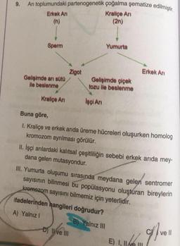 9.
Arı toplumundaki partenogenetik çoğalma şematize edilmiştir.
Erkek An
(n)
Kraliçe Arı
(2n)
Sperm
Gelişimde arı sütü
ile beslenme
Kraliçe Arı
Zigot
Yumurta
Gelişimde çiçek
tozu ile beslenme
İşçi Anı
Erkek Ar
Buna göre,
1. Kraliçe ve erkek arıda üreme hücreleri oluşurken homolog
kromozom ayrılması görülür.
D) Ilve III
II. İşçi arılardaki kalıtsal çeşitliliğin sebebi erkek arıda mey-
dana gelen mutasyondur.
III. Yumurta oluşumu sırasında meydana gelen sentromer
sayısının bilinmesi bu popülasyonu oluşturan bireylerin
kromezom sayısını bilmemiz için yeterlidir.
ifadelerinden hangileri doğrudur?
A) Yalnız I
B) Yalnız III
E) I, II ve III
11/1
ve ll