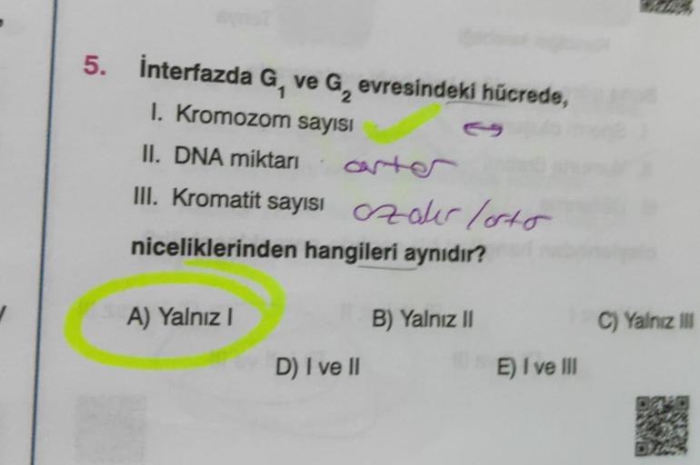 5. İnterfazda G, ve G, evresindeki hücrede,
1. Kromozom sayısı
II. DNA miktarı
III. Kromatit sayısı azalır /orto
niceliklerinden hangileri aynıdır?
A) Yalnız I
D) I ve II
B) Yalnız II
E) I ve III
C) Yalnız III