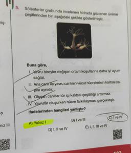 niş-
?
niz III
5. Sölenterler grubunda incelenen hidrada gözlenen üreme
çeşitlerinden biri aşağıdaki şekilde gösterilmiştir.
Buna göre,
1. Yavru bireyler değişen ortam koşullarına daha iyi uyum
sağlar.
II. Ana cantrile yavru canlının vücut hücrelerinin kalıtsal ya-
pisi aynıdır.
III. Oluşan canlılar tür içi kalıtsal çeşitliliği arttırmaz.
IV. Yavrular oluşurken hücre farklılaşması gerçekleşir.
ifadelerinden hangileri yanlıştır?
A) Yalnız I
D) I, II ve IV
B) I ve III
E) I, II, III ve IV
C) I ve IV