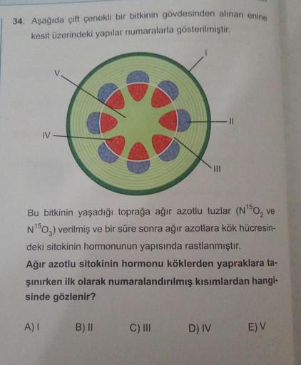 34. Aşağıda çift çenekli bir bitkinin gövdesinden alınan enine
kesit üzerindeki yapılar numaralarla gösterilmiştir.
IV
Bu bitkinin yaşadığı toprağa ağır azotlu tuzlar (N¹50₂ ve
N¹503) verilmiş ve bir süre sonra ağır azotlara kök hücresin-
deki sitokinin ho