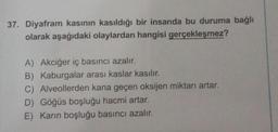 37. Diyafram kasının kasıldığı bir insanda bu duruma bağlı
olarak aşağıdaki olaylardan hangisi gerçekleşmez?
A) Akciğer iç basıncı azalır.
B) Kaburgalar arası kaslar kasılır.
C) Alveollerden kana geçen oksijen miktarı artar.
D) Göğüs boşluğu hacmi artar.
E) Karın boşluğu basıncı azalır.