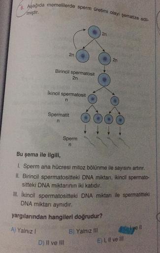 6. Aşağıda memelilerde sperm üretimi olayı şematize edil
miştir.
Birincil spermatosit
2n
2n
İkincil spermatosit
n
Spermatit
n
Sperm
n
D) II ve III
2n
Bu şema ile ilgili,
1. Sperm ana hücresi mitoz bölünme ile sayısını artırır.
II. Birincil spermatositteki 