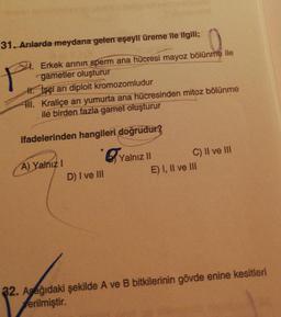 31. Arılarda meydana gelen eşeyli üreme ile ilgili;
P₁.
Erkek arının sperm ana hücresi mayoz bölünme ile
gametler oluşturur
H. İşçi ari diploit kromozomludur
III. Kraliçe arı yumurta ana hücresinden mitoz bölünme
ile birden fazla gamet oluşturur
ifadelerinden hangileri doğrudur?
GY
A) Yalnız I
D) I ve III
Yalnız II
C) II ve III
E) I, II ve III
32. Aşağıdaki şekilde A ve B bitkilerinin gövde enine kesitleri
a
erilmiştir.