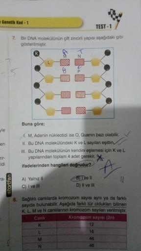 Genetik Kod -1
yle
en
rir-
cidi
ra-
TEST-1
7. Bir DNA molekülünün çift zincirli yapısı aşağıdaki gibi
gösterilmiştir.
K
5
startfen
Buna göre;
1. M, Adenin nükleotidi ise O, Guanin bazı olabilir.
II. Bu DNA molekülündeki K ve L sayıları eşittir
III. Bu DNA