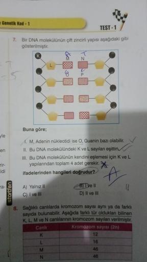 Genetik Kod -1
yle
en
rir-
cidi
ra-
TEST-1
7. Bir DNA molekülünün çift zincirli yapısı aşağıdaki gibi
gösterilmiştir.
K
5
startfen
Buna göre;
1. M, Adenin nükleotidi ise O, Guanin bazı olabilir.
II. Bu DNA molekülündeki K ve L sayıları eşittir
III. Bu DNA 