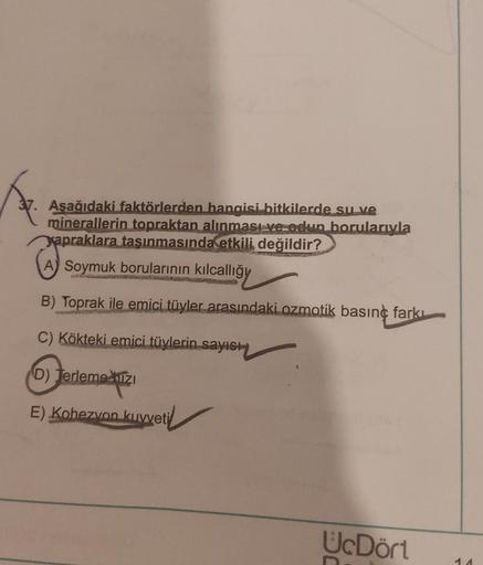 37. Aşağıdaki faktörlerden hangisi bitkilerde su ve
minerallerin topraktan alınması ve odun borularıyla
yapraklara taşınmasında etkili değildir?
Soymuk borularının kılcallığy
B) Toprak ile emici tüyler arasındaki ozmotik basınç farkı
C) Kökteki emici tüyle