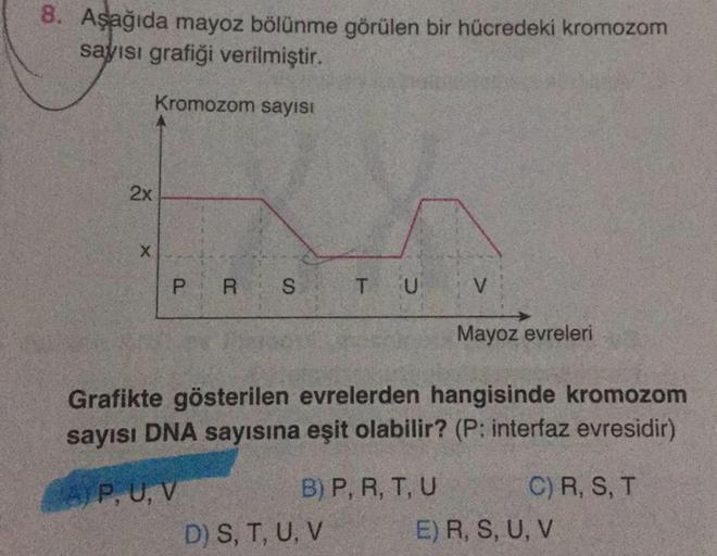 8. Aşağıda mayoz bölünme görülen bir hücredeki kromozom
sayısı grafiği verilmiştir.
2x
X
Kromozom sayısı
P R S T U
B) P, R, T, U
V
Grafikte gösterilen evrelerden hangisinde kromozom
sayısı DNA sayısına eşit olabilir? (P: interfaz evresidir)
AP, U, V
D) S,