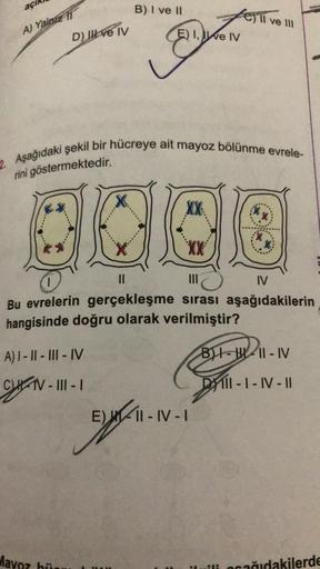 açı
A) Yalniz
D) Il ve IV
A) I-II-III-IV
TV-III-I
Mayoz hü
B) I ve II
2. Aşağıdaki şekil bir hücreye ait mayoz bölünme evrele-
rini göstermektedir.
*****
E) I, We IV
XX.
II ve III
||
III
IV
Bu evrelerin gerçekleşme sırası aşağıdakilerin
hangisinde doğru ol