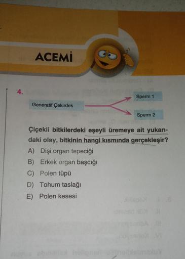 4.
ACEMİ
Generatif Çekirdek
Sperm 1
A) Dişi organ tepeciği
B) Erkek organ başcığı
C) Polen tüpü
D) Tohum taslağı
E) Polen kesesi
Sperm 2
ma
Çiçekli bitkilerdeki eşeyli üremeye ait yukarı-
daki olay, bitkinin hangi kısmında gerçekleşir?
1.8
mluv