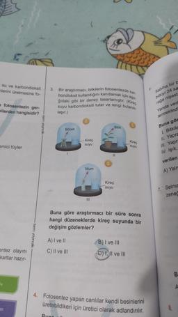 su ve karbondioksit
nlerini üretmesine fo-
e fotosentezin ger-
kilerden hangisidir?
emici tüyler
entez olayını
kartlar hazır-
Su
en
yayıncılık
isem yayıncılık
3.
Bir araştırmacı, bitkilerin fotosentezde kar-
bondioksit kullandığını kanıtlamak için aşa-
ğıdaki gibi bir deney tasarlamıştır. (Kireç
suyu karbondioksiti tutar ve rengi bulanık-
laşır.)
4000%
Böcek
Bun
A) I ve II
C) II ve III
Kireç
suyu
Mum
|||
Kireç
suyu
Bitki
Buna göre araştırmacı bir süre sonra
hangi düzeneklerde kireç suyunda bir
değişim gözlemler?
Kireç
suyu
B) I ve III
(D) I, II ve III
4. Fotosentez yapan canlılar kendi besinlerini
üretebildikeri için üretici olarak adlandırılır.
Sabiha bir b
bitkiyi 24 sa
rağa nişast
Yanda veri
termektedi
Buna gör
1. Bitkile
II. Yapra
III. Yapra
IV. Işık,
verilen
A) Yaln
7. Selma
zeneč
B
A