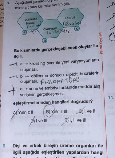 bo-
ve
p-
an
ük
n-
8. Aşağıdaki şemada
9.
mine ait bazı kısımlar verilmiştir.
yumurta
kanalı
Faliop
pu
a
Bu kısımlarda
ilgili,
ovaryum
Yumurtalık
(b)
uterus
(Rahim
gerçekleşebilecek olaylar ile
I. a → krossing over ile yeni varyasyonların
oluşması,
Hl. b→