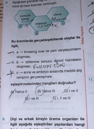 bo-
ve
p-
an
ük
n-
8. Aşağıdaki şemada
9.
mine ait bazı kısımlar verilmiştir.
yumurta
kanalı
Faliop
pu
a
Bu kısımlarda
ilgili,
ovaryum
Yumurtalık
(b)
uterus
(Rahim
gerçekleşebilecek olaylar ile
I. a → krossing over ile yeni varyasyonların
oluşması,
Hl. b→ 