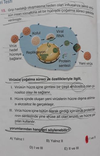 ri Testi
15. Grip hastalığı oluşmasına neden olan influeanza isimli virü-
sün insan vücuduna ait bir hücrede çoğalma süreci şekilde
verilmiştir.
Virüs
hedef
hücreye,
bağlanır.
Koful
Replikasyon
A) Yalnız I
Viral
RNA
Protein
sentezi
Virüsün çoğalma süreci v