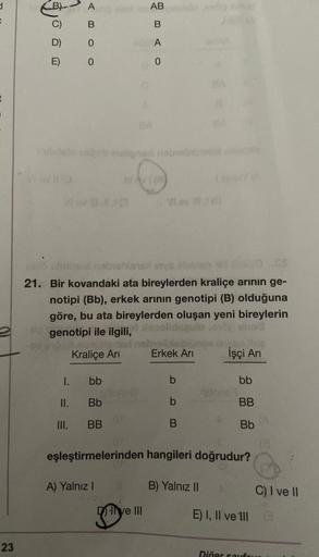 d
t
23
E)
v 11 (0
I.
A
B
0
II.
III.
O O
0
bb
Bb
BB
nato pimine noblebistal inys sbiln
21. Bir kovandaki ata bireylerden kraliçe arının ge-
notipi (Bb), erkek arının genotipi (B) olduğuna
göre, bu ata bireylerden oluşan yeni bireylerin
genotipi ile ilgili,
