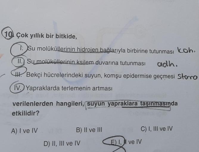 10. Çok yıllık bir bitkide,
T. Su molüküllerinin hidrojen bağlarıyla birbirine tutunması koh,
11. Su molüküllerinin ksilem duvarına tutunması adh.
Bekçi hücrelerindeki suyun, komşu epidermise geçmesi Stomo
IV. Yapraklarda terlemenin artması
verilenlerden h