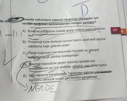 de,
sanda nefronların yapısını oluşturan elemanlar için
verilen aşağıdaki açıklamalardan hangisi yanlıştır?
A) Bowman kapsülüne madde geçişi sadece pasif yöntemle
olur.
1-111
B) Proksimal tüpte ilerleyen sıvının hacmi pasif-aktif taşıma
olaylarına bağlı giderek azalır.
C) Henle kulpunun inen kolundaki hücreler su geçişini
kolaylaştıracak şekilde özelleşmiştir.
Bowman kapsülüne geçen süzüntü içindeki üre
moleküllerinin en çok emilime uğradığı yapı distal tüptür.
E) İdar toplama kanallarında, hipofizden salinan vazopressin
hormonu etkisiyle suyun geri emilimi gerçekleşir.
SNELDE
177