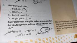 5.
I ve III
Bir dişiye ait olan,
1. süt bezi,
II. rahim,
III. birincil oosit, 2n
IV. oogonyum 27
hücrelerinden
hangilerinde meydana gelen
bir mutasyonun kalıtsal olma ihtimali var-
dır?
A) Yalnız III
E) Ive III
I, II ve III
AAROPEENNES
BJTve Il
C) III ve IV
EH, III ve IV
Mayoz bölünmesini tamamlamıs
olgun sperm ve yumurta hücres
nin haploit kromozomlu çekirde
lerinin kaynaşmasına döllen
denir.
18