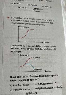 A) Yalnız I
anır?
D) I ve II
B) Yalnız II
Birey sayısı
12. P. caudatum ve P. aurelia türleri ayrı ayrı kültür
ortamında yetiştirildiklerinde birey sayılarının deği-
şimini gösteren grafik aşağıdaki gibidir.
Birey sayısı
→ Zaman
Daha sonra bu türler, aynı kültür ortamına bırakıl-
dıklarında birey sayıları aşağıdaki grafikteki gibi
değişmiştir.
A) Av-Avcı ilişkisi
C) Parazitizm
-
P.aurelia
+
Irici organiz-
C) Yalnız III
|||
P.caudatum
Buna göre, bu iki tür arasındaki ilişki aşağıdaki-
lerden hangisi ile açıklanır?
E) Rekabet
→ Zaman
B) Mutualizm
-D) Kommensalizm
10