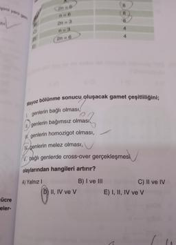 şimi yeni gen
ücre
eler-
C)
DI
E)
2n-6
2n=3
n=3
2n-6
8
DII, IV ve V
8
4
4
Mayoz bölünme sonucu oluşacak gamet çeşitliliğini;
1. genlerin bağlı olması,
genlerin bağımsız olması,
. genlerin homozigot olması,
Ngenlerin melez olması,
V. bağlı genlerde cross-over gerçekleşmesi
olaylarından hangileri artırır?
A) Yalnız I
B) I ve III
C) II ve IV
E) I, II, IV ve V