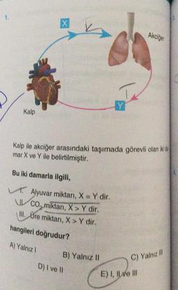 1.
Kalp
X
Kalp ile akciğer arasındaki taşımada görevli olan iki de
mar X ve Y ile belirtilmiştir.
Bu iki damarla ilgili,
Alyuvar miktarı, X = Y dir.
CO, miktarı, X > Y dir.
III. Ure miktarı, X> Y dir.
hangileri doğrudur?
A) Yalnız 1
B) Yalnız II
D) I ve II
Akciğer
C) Yalnız Ill
E) I, ILve Ill