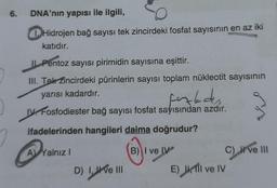 6.
DNA'nın yapısı ile ilgili,
Hidrojen bağ sayısı tek zincirdeki fosfat sayısının en az iki
katıdır.
Pentoz sayısı pirimidin sayısına eşittir.
III. Tek Zincirdeki pürinlerin sayısı toplam nükleotit sayısının
yarısı kadardır.
furkades
IV. Fosfodiester bağ sayısı fosfat sayısından azdır.
ifadelerinden hangileri daima doğrudur?
(8) V
Ava
A Yalnız I
D) I, II ve III
B) I ve IV
E) I fil ve IV
C) ve III
Il