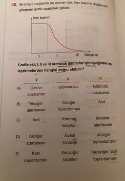 40. Birbiriyle bağlantılı üç damar için, kan basıncı değişimini
gösteren grafik aşağıdaki gibidir.
A)
B)
C)
Grafikteki; I, II ve III numaralı damarlar için aşağıdaki eş-
leştirmelerden hangisi doğru olabilir?
D)
Kan basıncı
E)
1
I
Getirici
atardamar
Akciğer
atardamarı
Aort
Akciğer
atardamarı
||
Kapi
toplardamarı
TANGOMONY
11
Glomerulus
Akciğer
toplardamarı
Koroner
kılcalları
Alveol
kılcalları
Damarlar
Karaciğer
kılcalları
Götürücü
atardamar
Aort
Koroner
atardamarı
Akciğer
toplardamarı
Karaciğer üstü
toplardamarı