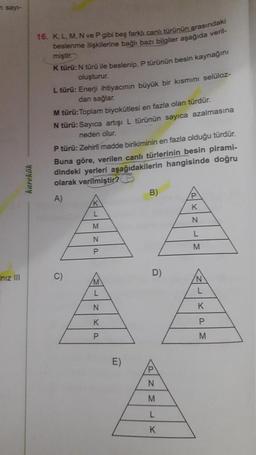 n sayı-
Iniz III
karekök
16. K, L, M, N ve P gibi beş farklı canlı türünün arasındaki
beslenme ilişkilerine bağlı bazı bilgiler aşağıda veril-
miştir.
K türü: N türü ile beslenip, P türünün besin kaynağını
oluşturur.
L türü: Enerji ihtiyacının büyük bir kısmını selüloz-
dan sağlar.
M türü: Toplam biyokütlesi en fazla olan türdür.
N türü: Sayıca artışı L türünün sayıca azalmasına
neden olur.
P türü: Zehirli madde birikiminin en fazla olduğu türdür.
Buna göre, verilen canlı türlerinin besin pirami-
dindeki yerleri aşağıdakilerin hangisinde doğru
olarak verilmiştir?
A)
C)
L
M
N
P
/M
L
N
K
P
E)
B)
D)
P
N
M
L
K
P
K
N
L
M
/N
L
K
P
M