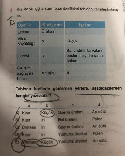 3. Kraliçe ve işçi arıların bazı özellikleri tabloda karşılaştırılmış-
tır.
B
Özellik
Üreme
Vücut
büyüklüğü
Görevi
Kraliçe arı
Üretken
b
C
Gelişimi
sağlayan Arı sütü
besin
a
a
b
A) Kısır
Küçük
B Kısır
İri
CÜretken İri
DVKısır
İri
İşçi arı
Küçük
Bal üretimi