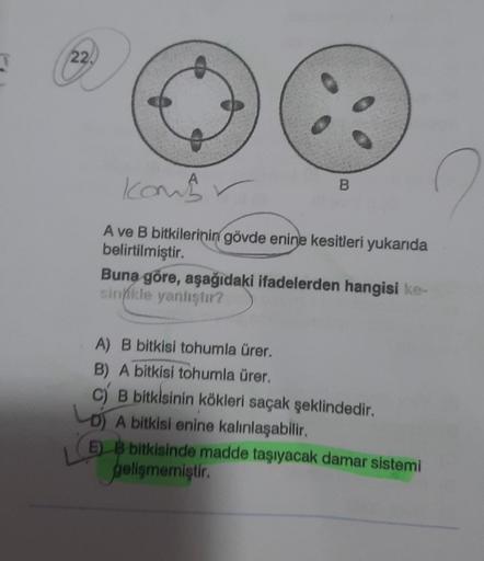 22
A
komb
B
A ve B bitkilerinin gövde enine kesitleri yukarıda
belirtilmiştir.
Buna göre, aşağıdaki ifadelerden hangisi ke-
sinnikle yanlıştır?
A) B bitkisi tohumla ürer.
B) A bitkisi tohumla ürer.
c) B bitkisinin kökleri saçak şeklindedir.
A bitkisi enine