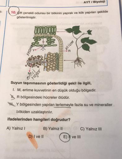 31-
10. Cift çenekli odunsu bir bitkinin yaprak ve kök yapıları şekilde
gösterilmiştir.
vots
30000.00
RE
emici
tuyler
R
bitkiden uzaklaştırılır.
ifadelerinden hangileri doğrudur?
A) Yalnız I
B) Yalnız II
D) I ve II
Ksilem
Suyun taşınmasının gösterildiği şe