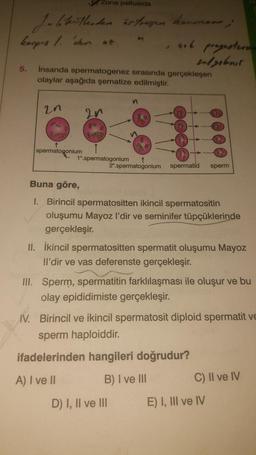 Zona pellusida
Jobbütlerden istragen kommons;
3
korpus /. 'den az
5.
insanda spermatogenez sırasında gerçekleşen
olaylar aşağıda şematize edilmiştir.
20
80
spermatogonium
ga
Boen
n
1°.spermatogonium ↑
çok progester
sulgebnis.
2º.spermatogonium spermatid sperm
Buna göre,
I. Birincil spermatositten ikincil spermatositin
oluşumu Mayoz l'dir ve seminifer tüpçüklerinde
gerçekleşir.
II. İkincil spermatositten spermatit oluşumu Mayoz
!l'dir ve vas deferenste gerçekleşir.
D) I, II ve III
III. Sperm, spermatitin farklılaşması ile oluşur ve bu
olay epididimiste gerçekleşir.
IV. Birincil ve ikincil spermatosit diploid spermatit ve
sperm haploiddir.
ifadelerinden hangileri doğrudur?
A) I ve II
B) I ve III
C) II ve IV
E) I, III ve IV