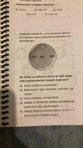 tttttttttt!!S
sayısı haploittir.
ifadelerinden hangileri doğrudur?
Do ob
A) Yalnız I
Il ev D) II ve III
B) Yalnız III
A)
B)
Aşağıdaki şekilde 2n = 4 kromozomlu ökaryot
bir hücrenin mayoz bölünme evrelerinden biri
gösterilmiştir.
Tigimpoteg
C)
D)
83
C) I ve