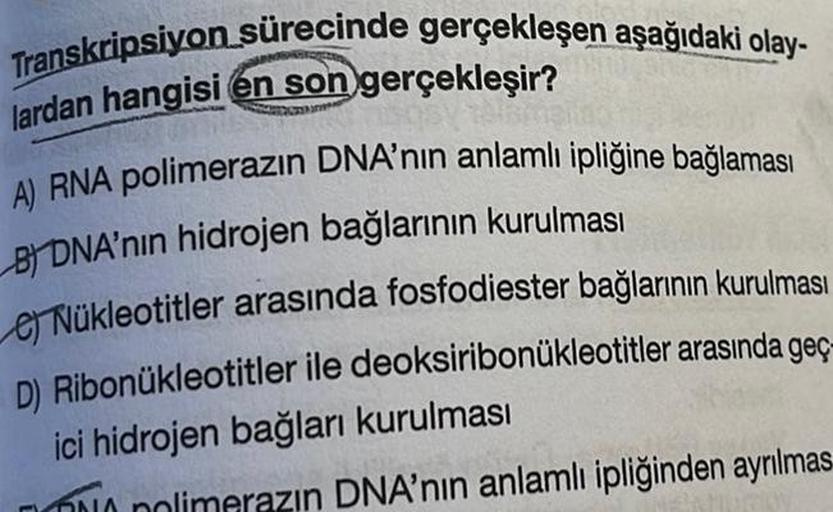 Transkripsiyon sürecinde gerçekleşen aşağıdaki olay-
lardan hangisi en son gerçekleşir?
A) RNA polimerazın DNA'nın anlamlı ipliğine bağlaması
B) DNA'nın hidrojen bağlarının kurulması
e) Nükleotitler arasında fosfodiester bağlarının kurulması
D) Ribonukleot