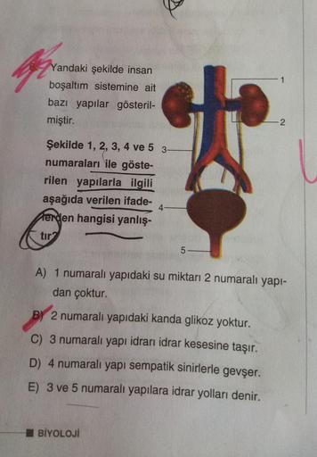 Yandaki şekilde insan
boşaltım sistemine ait
Fa
bazı yapılar gösteril-
miştir.
Şekilde 1, 2, 3, 4 ve 5 3-
numaraları ile göste-
rilen yapılarla ilgili
aşağıda verilen ifade-
Herden hangisi yanlış-
tir
5
BİYOLOJİ
1
2
A) 1 numaralı yapıdaki su miktarı 2 numa