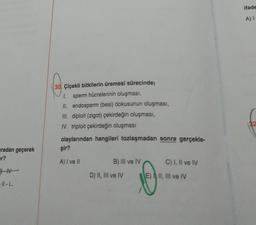 radan geçerek
er?
-N
-11-L
30 Çiçekli bitkilerin üremesi sürecinde;
1. sperm hücrelerinin oluşması,
II. endosperm (besi) dokusunun oluşması,
III. diploit (zigot) çekirdeğin oluşması,
IV. triploit çekirdeğin oluşması
olaylarından hangileri tozlaşmadan sonra gerçekle-
şir?
A) I ve II
B) III ve IV
D) II, III ve IV
E)
C) I, II ve IV
II, III ve IV
ifade
A) I
32