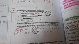 anhidraz
Plazma
HCO,
E) HÚCO2
→ Hb + CO₂
6. Kanda CO₂ taşınmasını sağlayan;
I. Bikarbonat
Liyonu COS
II. Karbaminohemoglobin
III. Çözünmüş CO₂
şekillerinin taşınma oranlarının çoktan aza doğru sıralan-
ması aşağıdakilerden hangisinde doğru verilmiştir?
AL
|- |||- ||
C) ||- |||-|
D) 11-1-
E) III - ||- |
bir insanın kanındaki HbO₂ (oksihe-
bağlal
Deniz derinlikl
geçirir. Bu durum das
guna sebep olabilir.
Öğreten Soru
Solunum hızını k
uyku
II. adrenalin
H. tiroksin
IV. CO₂ artışı
faktörlerinde
ar?