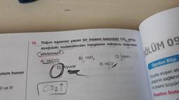 unum hızının
"Il ve IV
10.
Yoğun egzersiz yapan bir insanın kanındaki CO, artışı,
aşağıdaki moleküllerden hangisinin miktarını doğrudan
etkilemez?
A) HbCO,
D) Alyuvar
CO₂1
B) HbO₂
E) HCO
C) HbH+
ÖLÜM 09
Öğreten Bilgi
Vücutta oluşan atı
ostazinin sağlanm
nin önemi büyükt
Boşaltım Siste