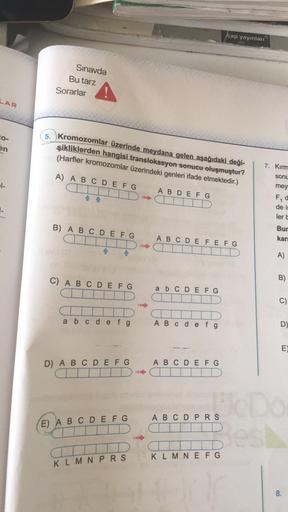 LAR
en
1-
Sınavda
Bu tarz
Sorarlar
5. Kromozomlar üzerinde meydana gelen aşağıdaki deği-
şikliklerden hangisi translokasyon sonucu oluşmuştur?
(Harfler kromozomlar üzerindeki genleri ifade etmektedir.)
A) A B C D E F G
B) A B C D E F G
>>>>
Te
C) ABCDEFG
a