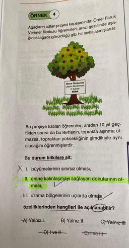 ÖRNEK 4
Ağaçların adları projesi kapsamında; Ömer Faruk
Verimer İlkokulu öğrencileri, arazi gezisinde aşa-
ğıdaki ağaca görüldüğü gibi bir levha asmışlardır.
Malus Floribunda
(Japon Süs Elması)
D Şubesi
SEDA
Bu projeye katılan öğrenciler; aradan 10 yıl geç-
tikten sonra da bu levhanın, toprakta aşınma ol-
mazsa, topraktan yüksekliğinin şimdikiyle aynı
olacağını öğrenmişlerdir.
A) Yalnız L
T
Bu durum bitkilere ait;
XI. büyümelerinin sınırsız olması,
II. enine kalınlaşmayı sağlayan dokularının ol-
ması,
III. uzama bölgelerinin uçlarda olması
özelliklerinden hangileri ile açıklanabilir?
-D) Ivell
B) Yalnız II
C) Yalnız III
Eve Ill