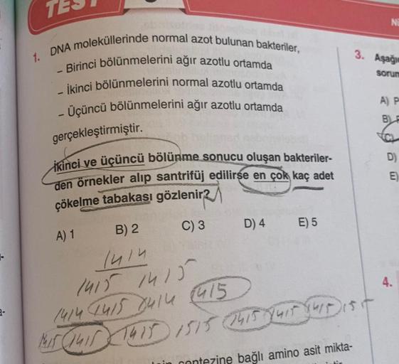 1. DNA moleküllerinde normal azot bulunan bakteriler,
- Birinci bölünmelerini ağır azotlu ortamda
-
- İkinci bölünmelerini normal azotlu ortamda
- Üçüncü bölünmelerini ağır azotlu ortamda
gerçekleştirmiştir.
ikinci ve üçüncü bölünme sonucu oluşan bakterile